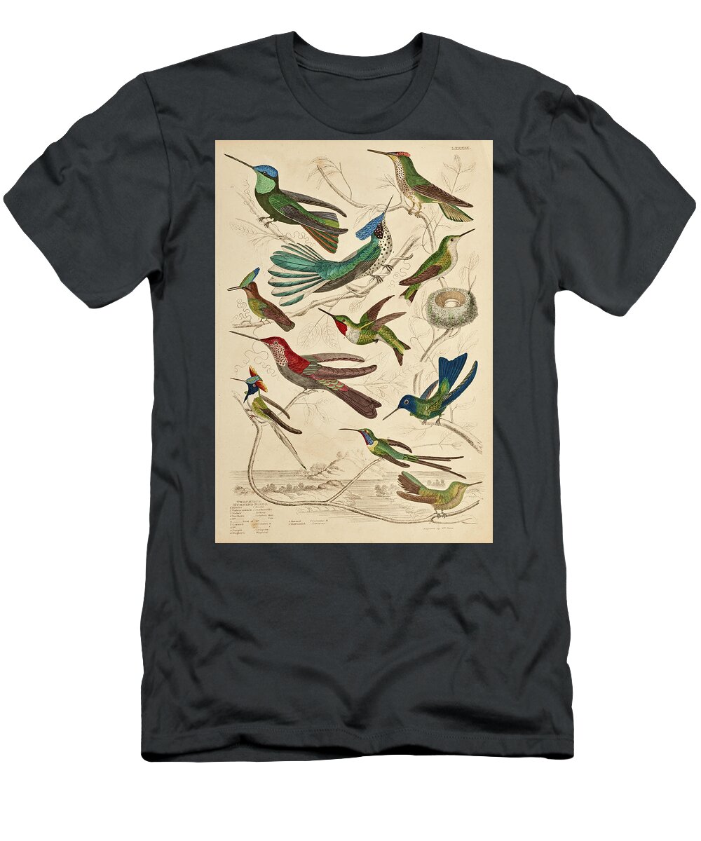 Trochilus T-Shirt featuring the painting Trochilus - Hummingbirds by William Davis