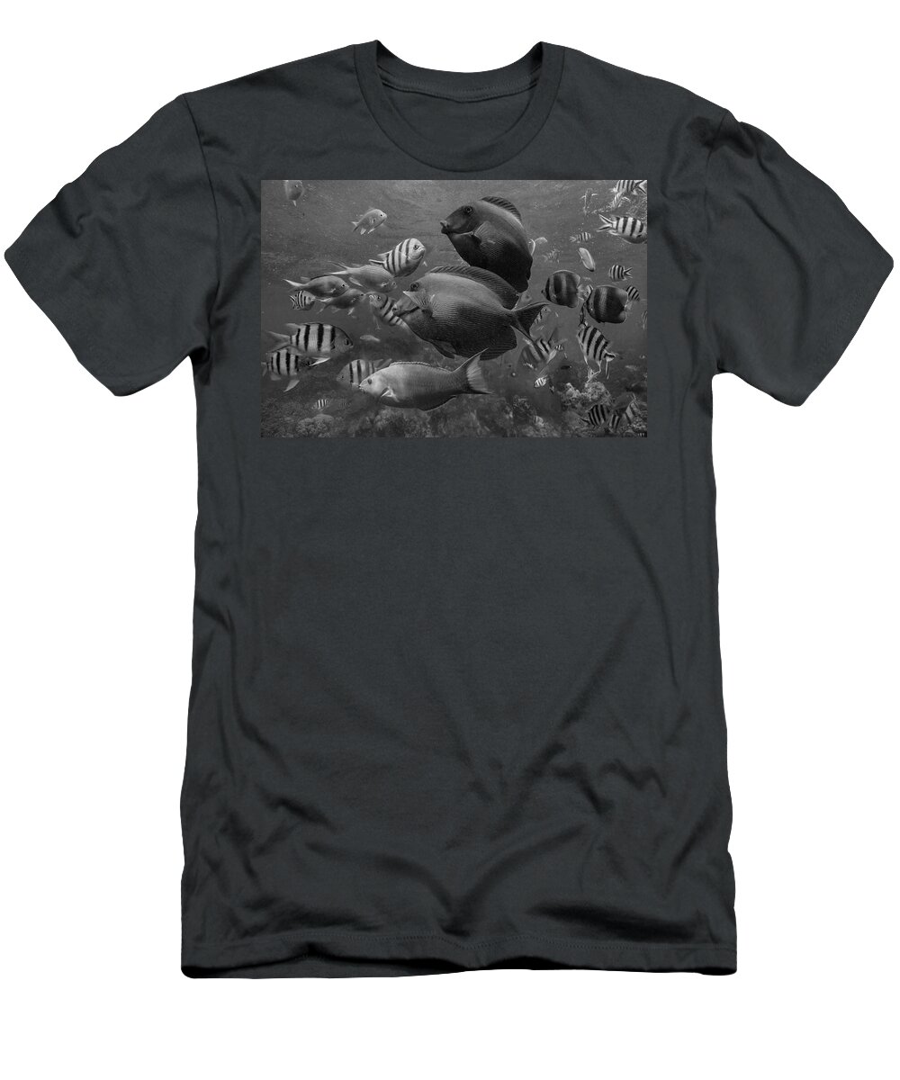 Disk1215 T-Shirt featuring the photograph Tropical Fish Philippines by Tim Fitzharris