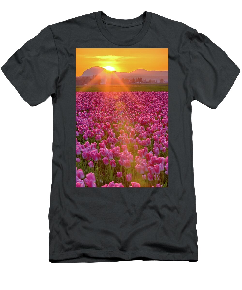 Flower T-Shirt featuring the photograph Tulip Sunset by Briand Sanderson