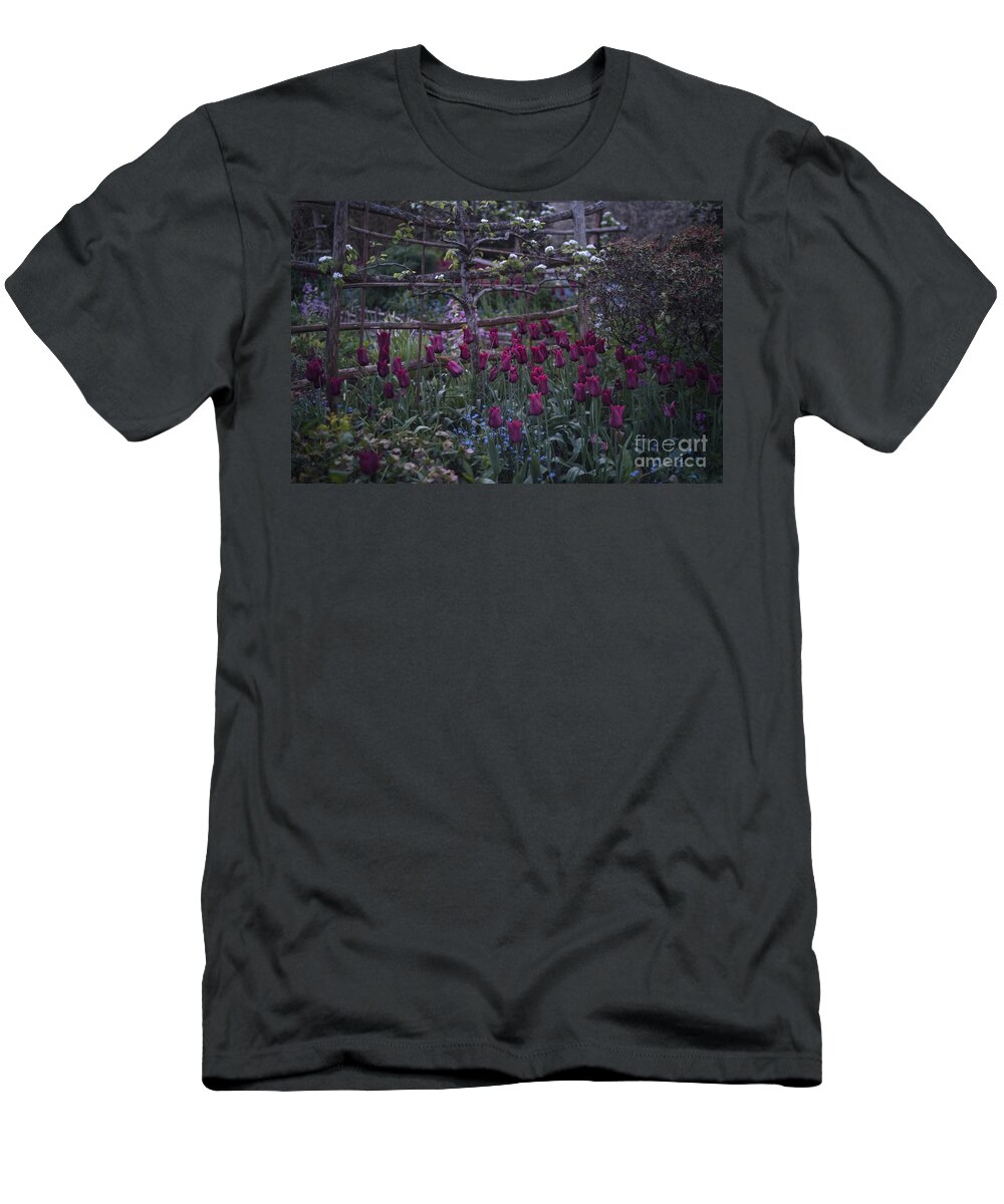 Tulips T-Shirt featuring the photograph Tulips in the evening light by Perry Rodriguez