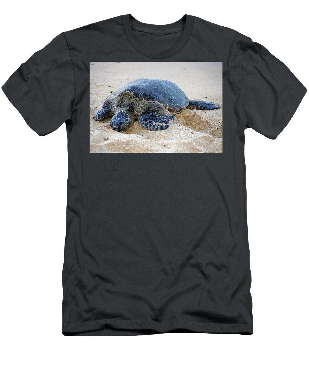 Sea Turtle T-Shirt featuring the photograph Turtle Beach by Anthony Jones
