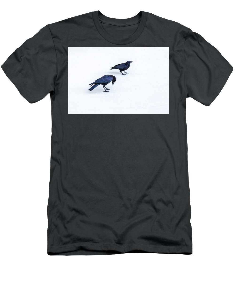 Crow T-Shirt featuring the photograph Two crows 2 by Al Hurley