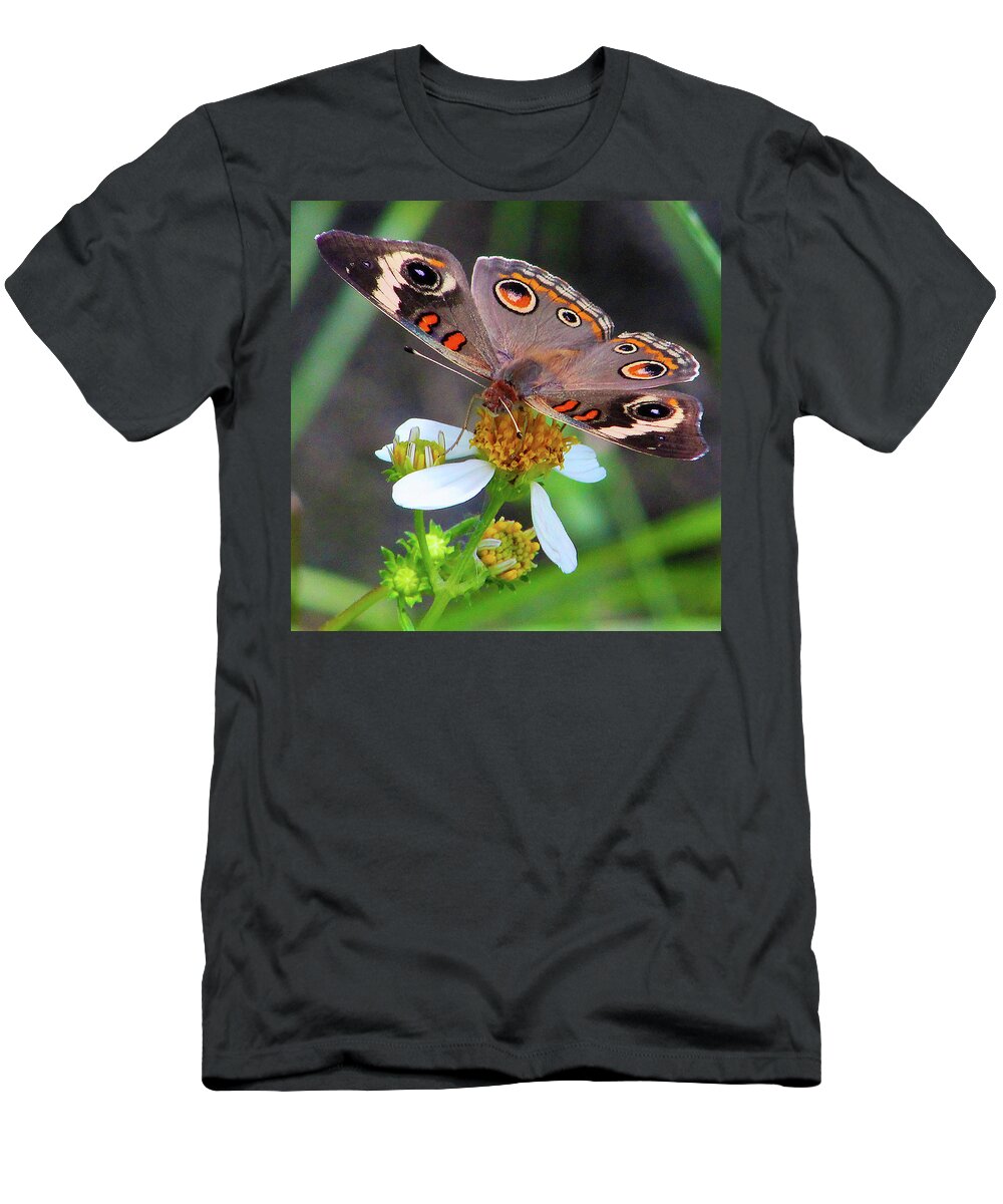 Butterfly T-Shirt featuring the photograph Uncommon Buckeye by Michael Allard