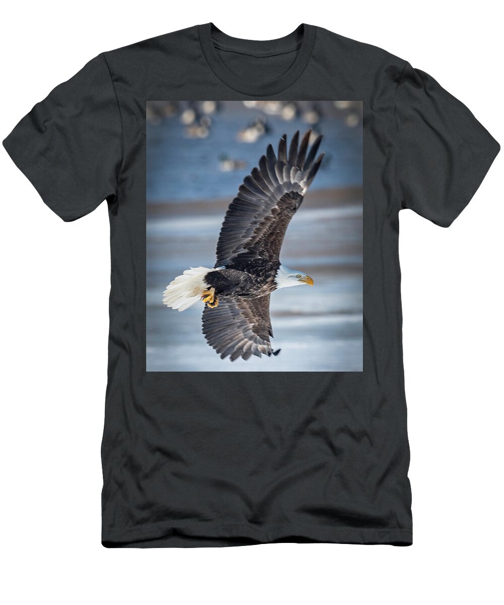 Eagle T-Shirt featuring the photograph Under Wing by Laura Hedien