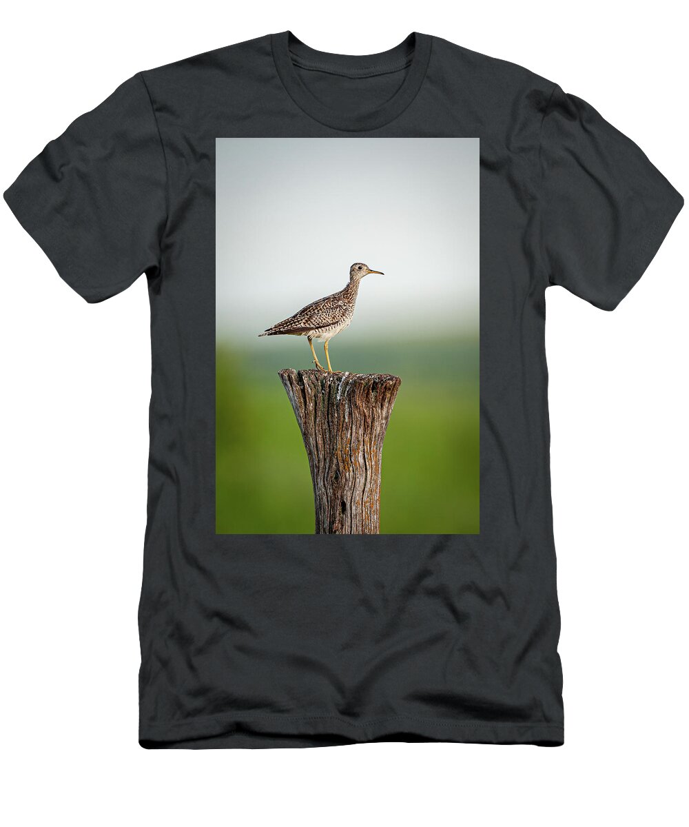 Upland Sandpiper (bartramia Longicauda) T-Shirt featuring the photograph Upland Sandpiper on Fence Post by Jeff Phillippi