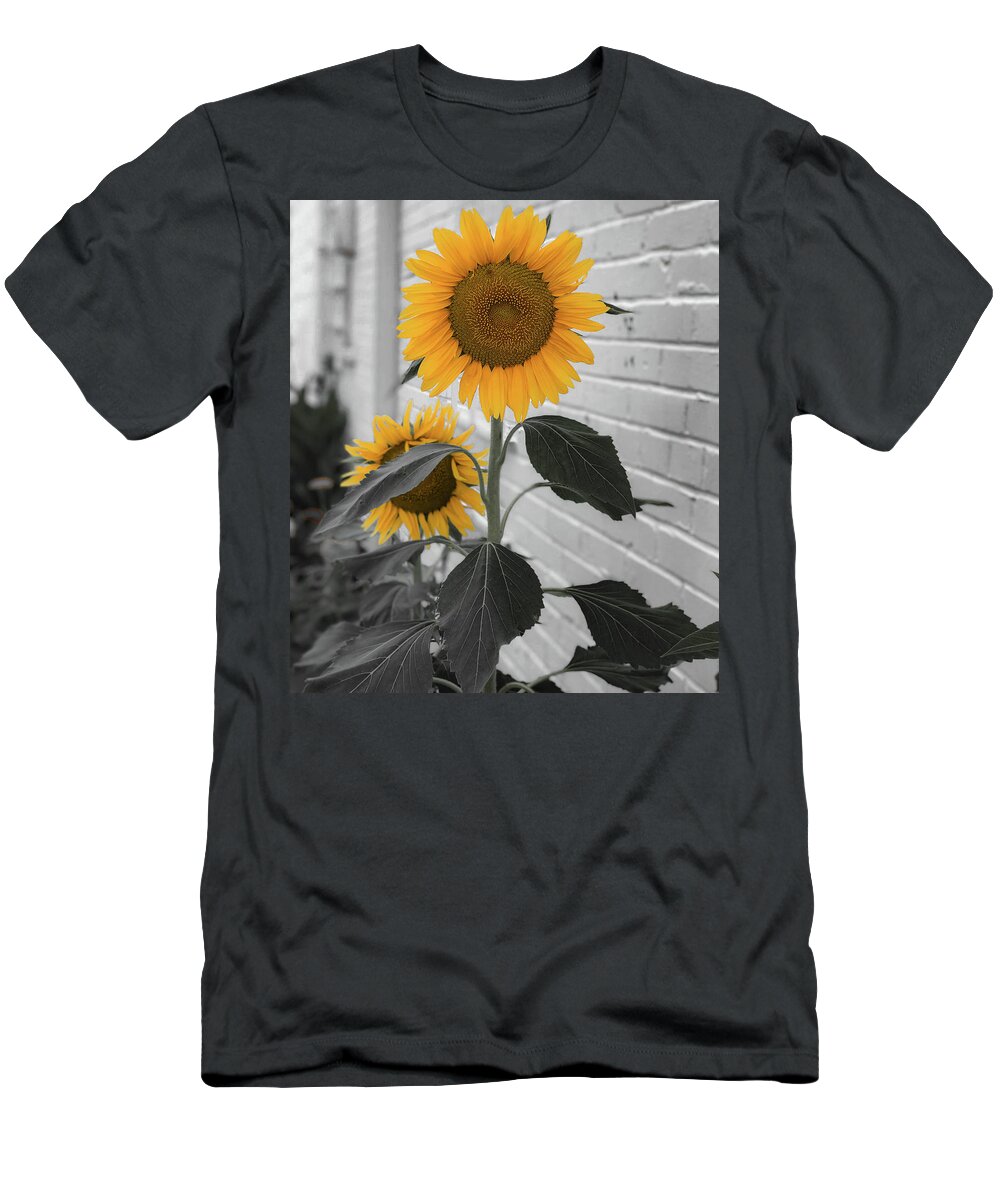 Sunflower T-Shirt featuring the photograph Urban Sunflower - Black and White by Lora J Wilson