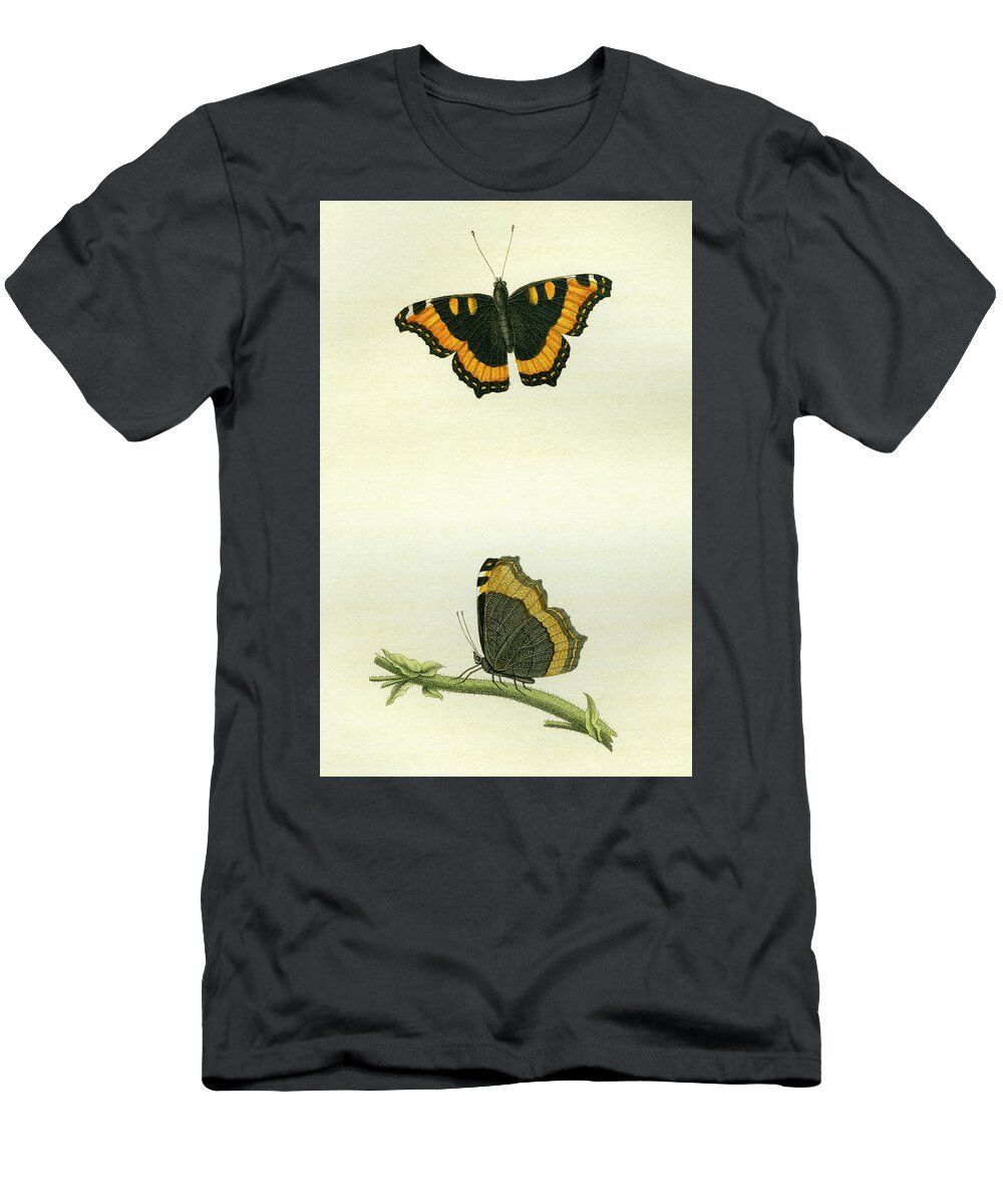 Entomology T-Shirt featuring the mixed media Vanessa furcillata by W W Wood