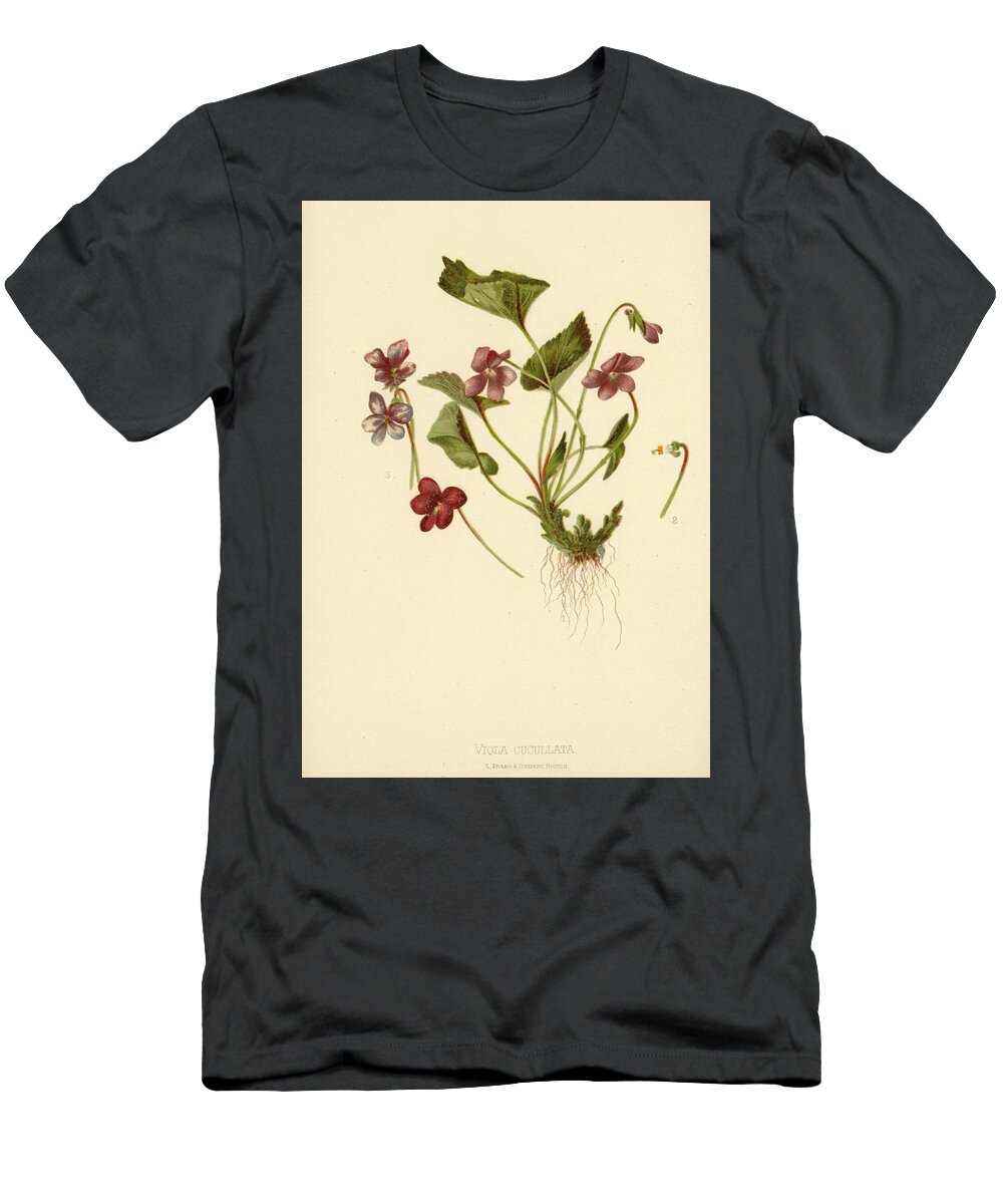 Flowers T-Shirt featuring the mixed media Viola Cucullata Common Blue Violet by L Prang
