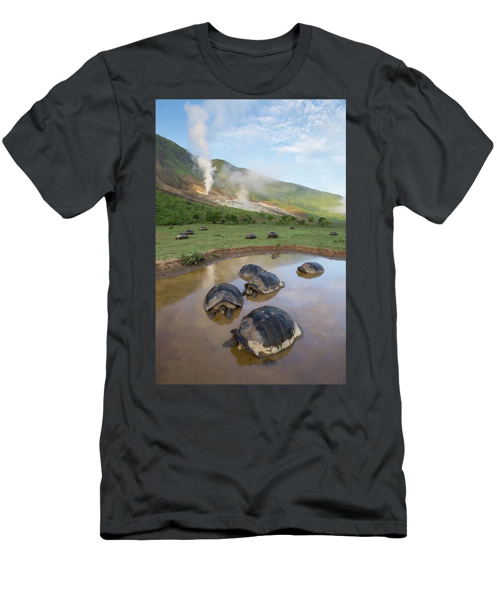 Animal T-Shirt featuring the photograph Volcan Alcedo Tortoises Wallowing by Tui De Roy