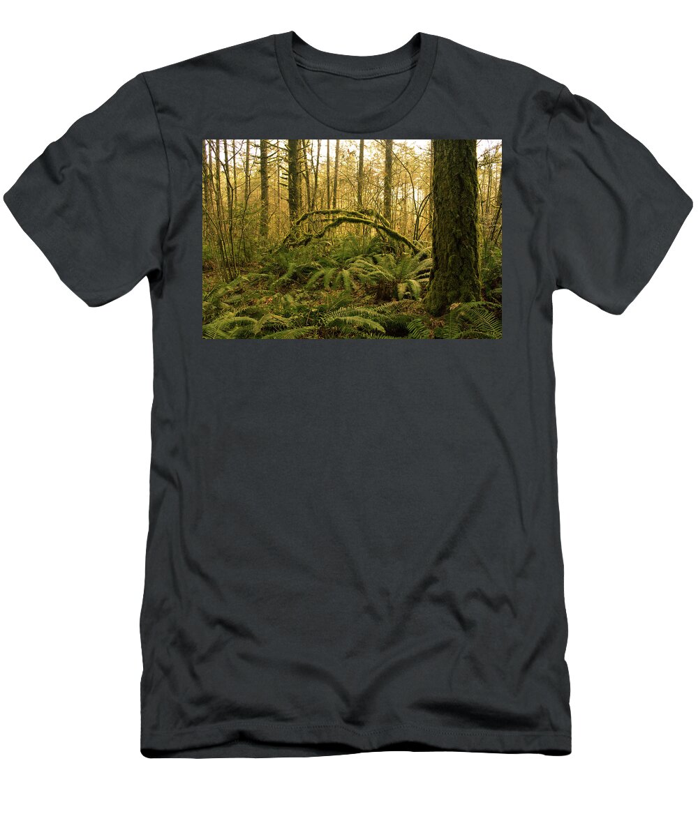 Mcdonald Forest T-Shirt featuring the photograph Waking Forest by Bonnie Bruno