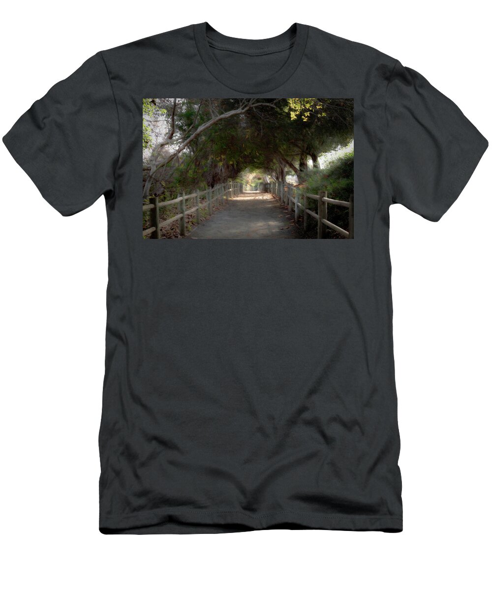 Trail T-Shirt featuring the photograph Walking Trail by Alison Frank