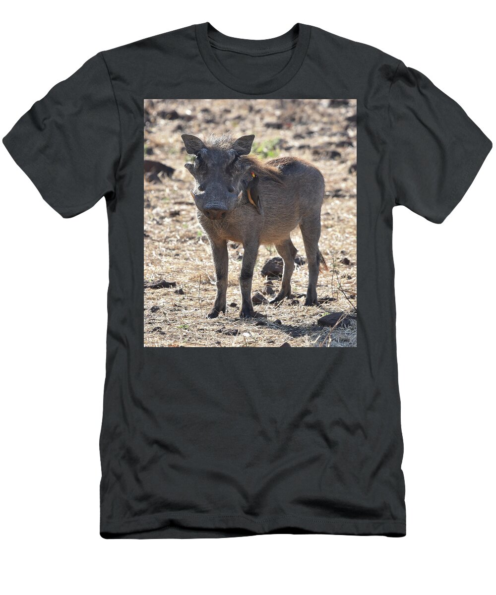 Warthog T-Shirt featuring the photograph Warthog with Oxpecker by Ben Foster
