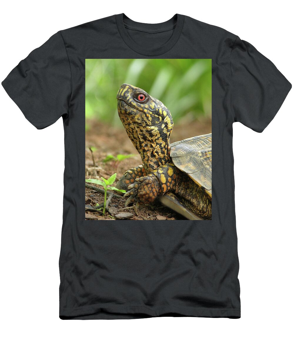Turtle T-Shirt featuring the photograph Watchful Eye by Randall Dill