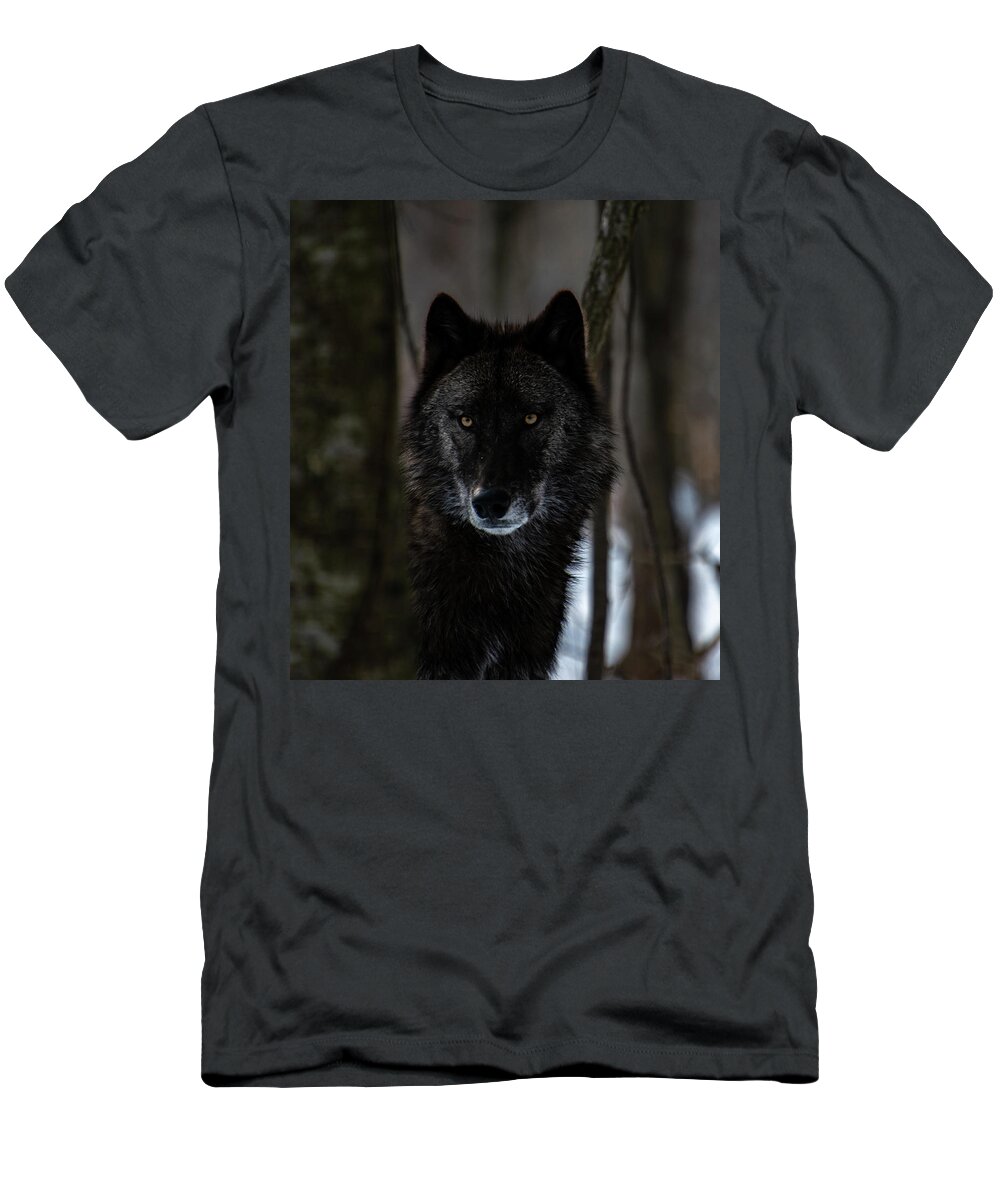 British Columbian Wolf T-Shirt featuring the photograph Watching by Rose Guinther