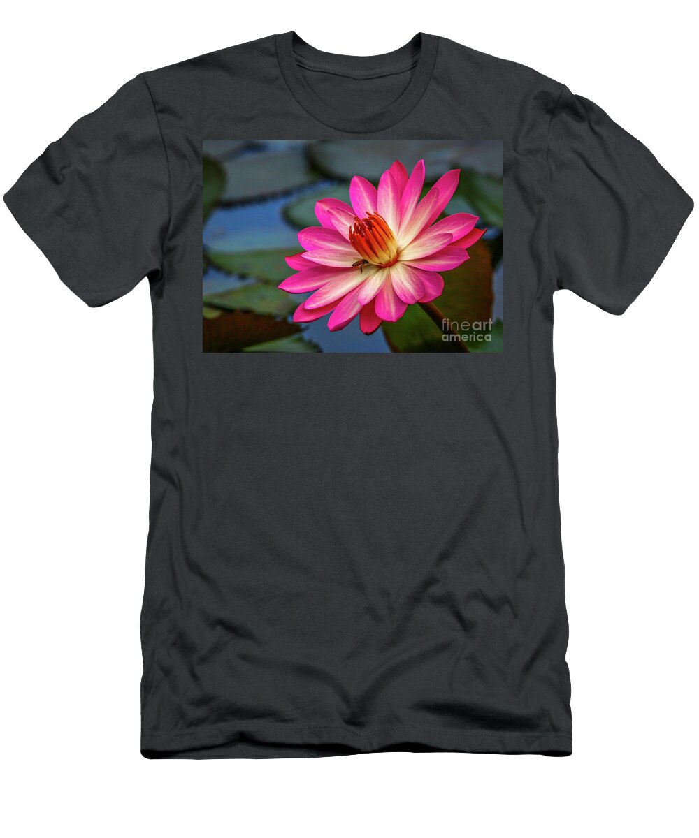 Lily T-Shirt featuring the photograph Water Lily with Bee by Tom Claud