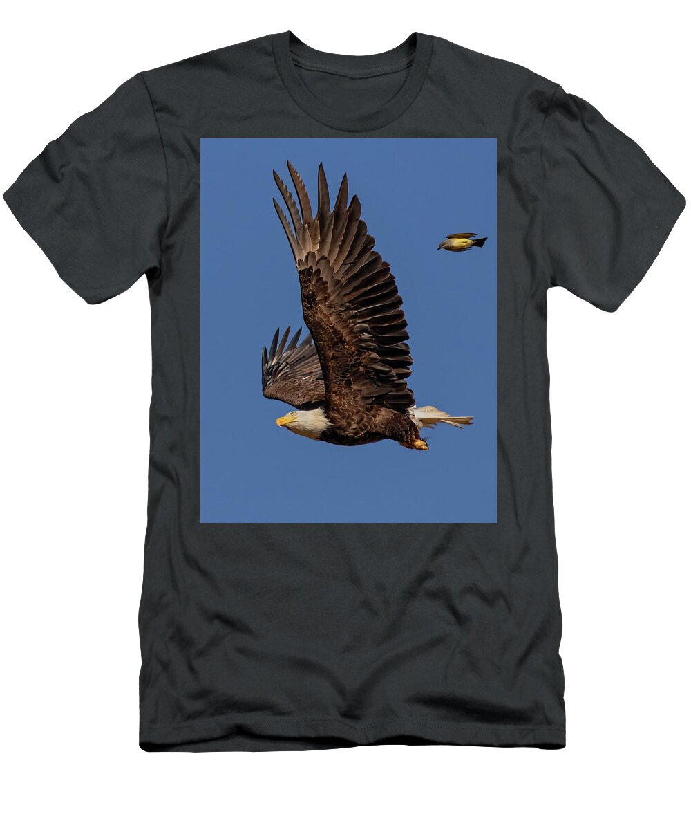 Bald Eagle T-Shirt featuring the photograph What The by Beth Sargent