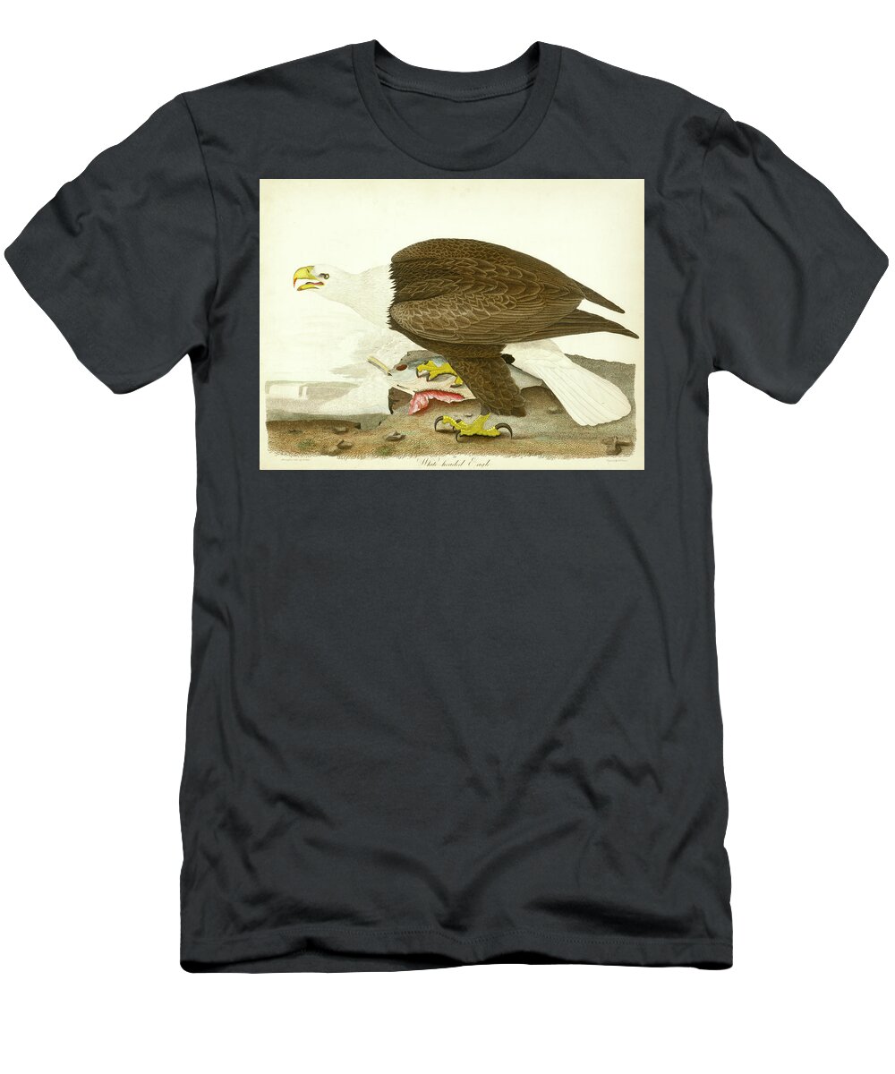 Eagle T-Shirt featuring the mixed media White-headed Eagle by Alexander Wilson
