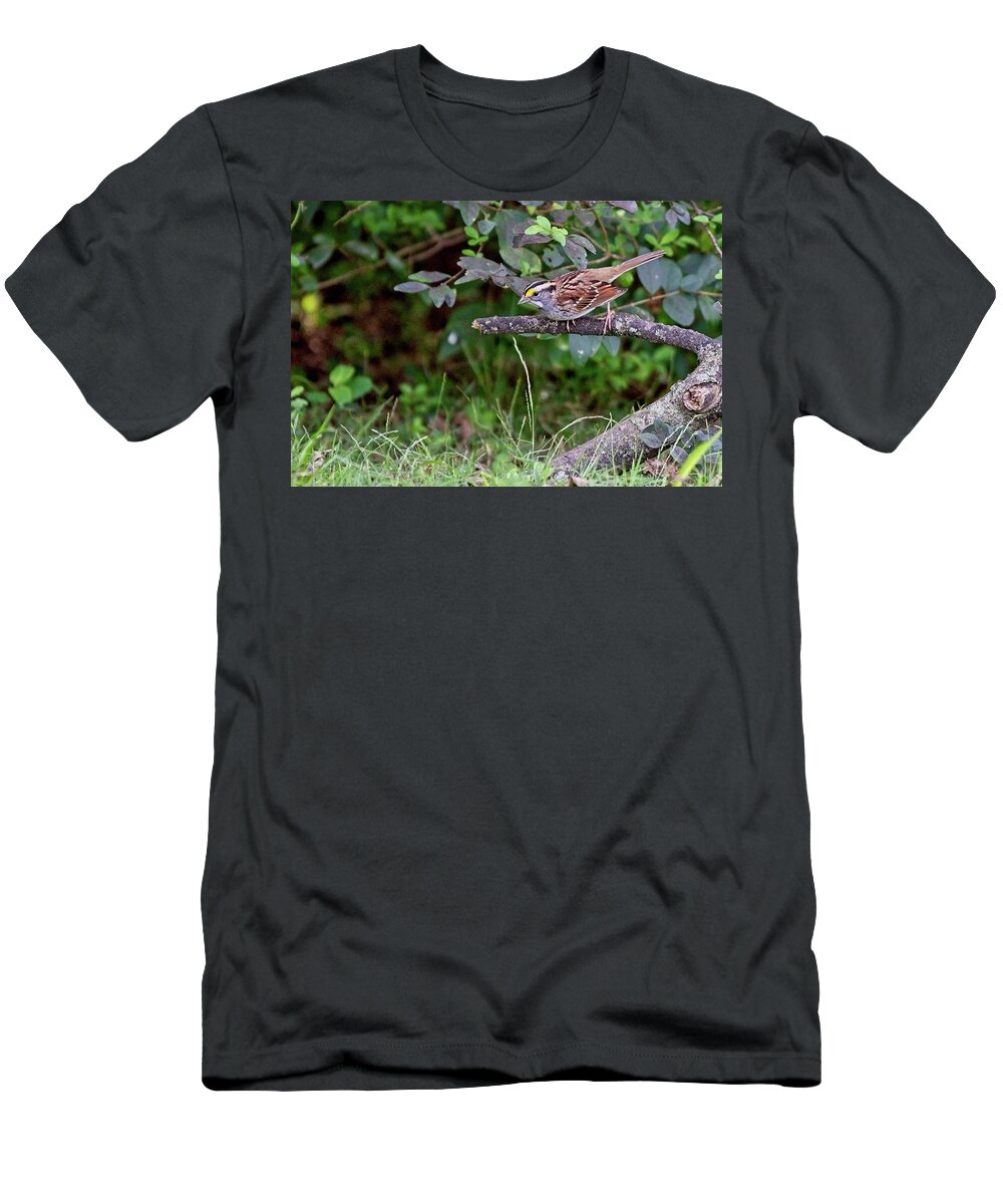 Wildlife T-Shirt featuring the photograph White-throated Sparrow by John Benedict