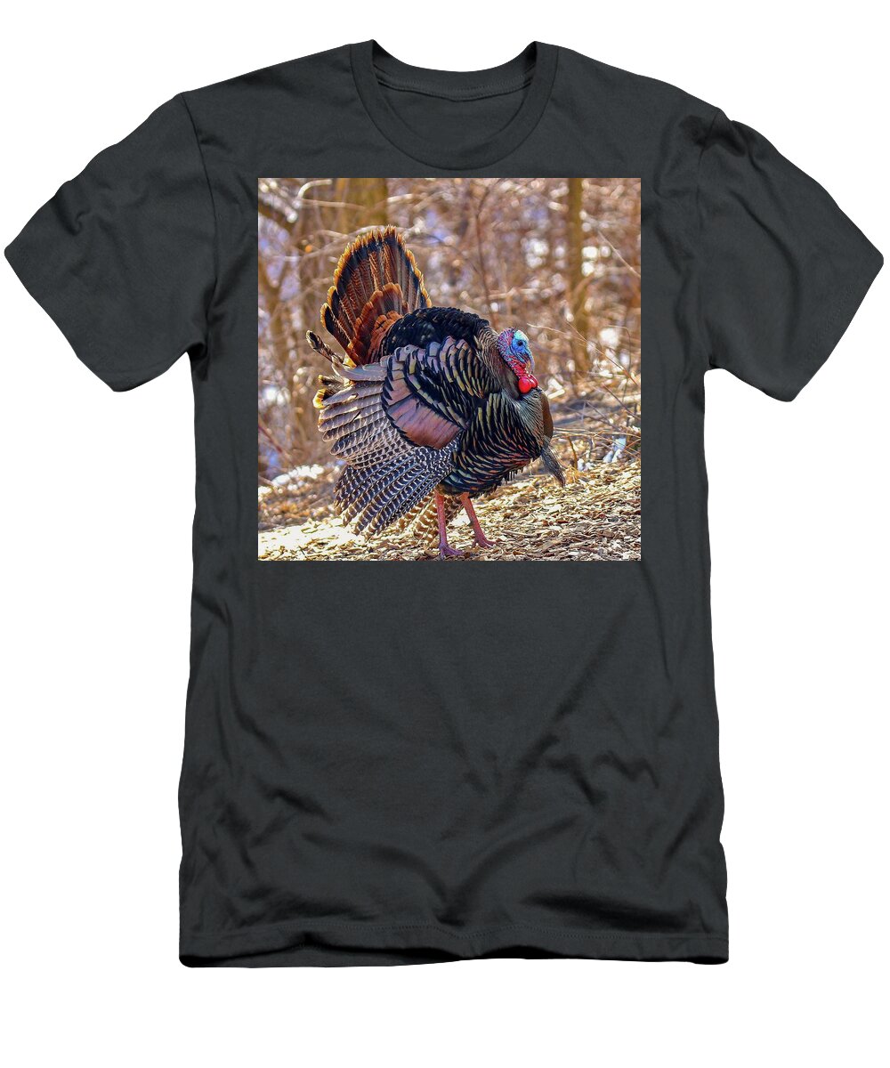 Colorful T-Shirt featuring the photograph Wild Turkey by Susan Rydberg