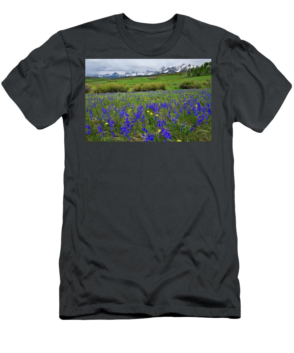 Ouray T-Shirt featuring the photograph Wildflowers along Last Dollar Road by Ray Mathis