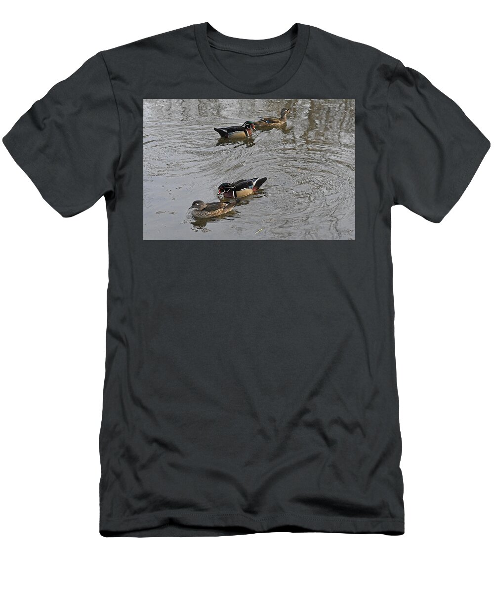 Wood Duck T-Shirt featuring the photograph Ladies First by Asbed Iskedjian