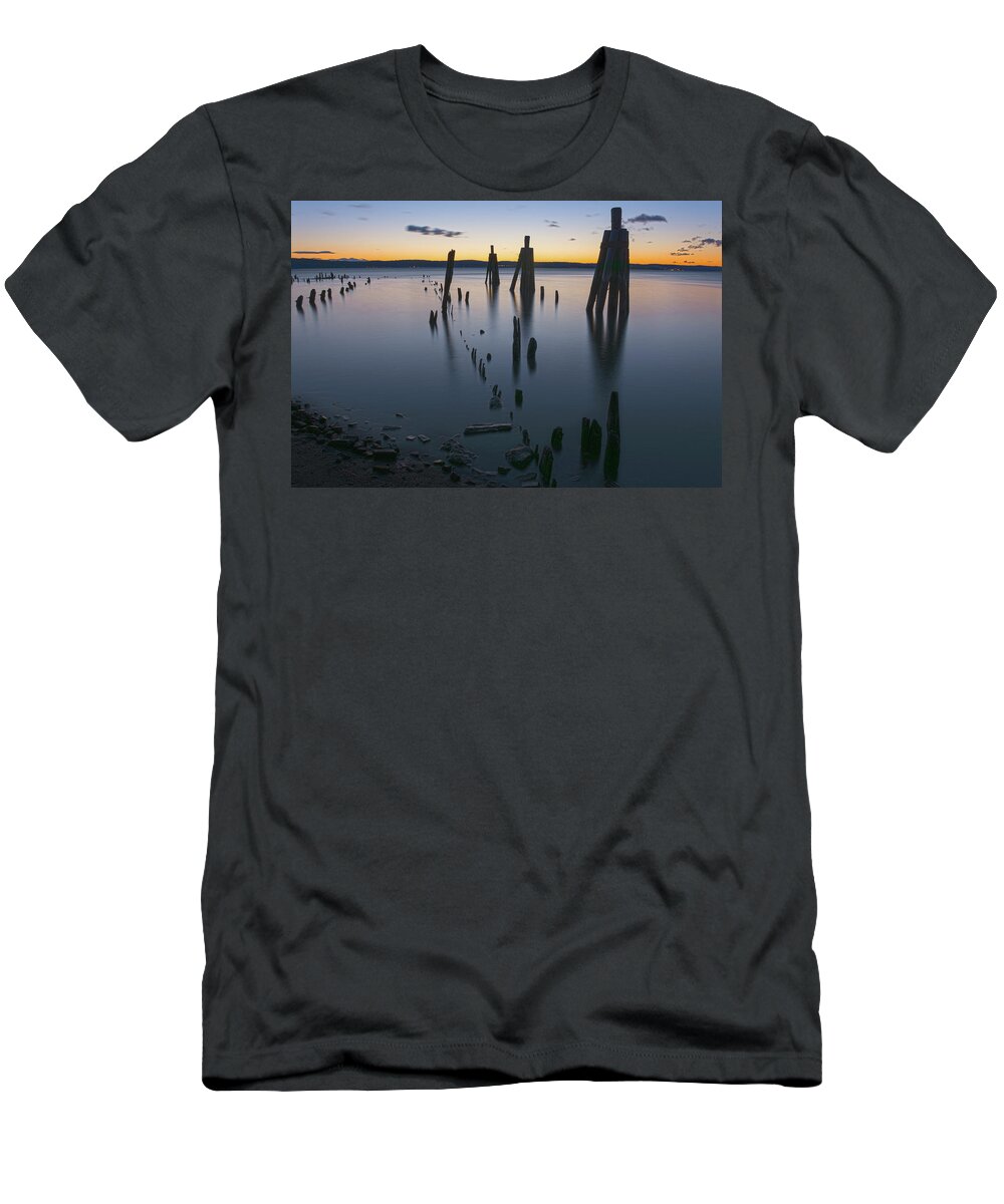 Emeline Park T-Shirt featuring the photograph Wooden Soldiers of the Hudson by Angelo Marcialis