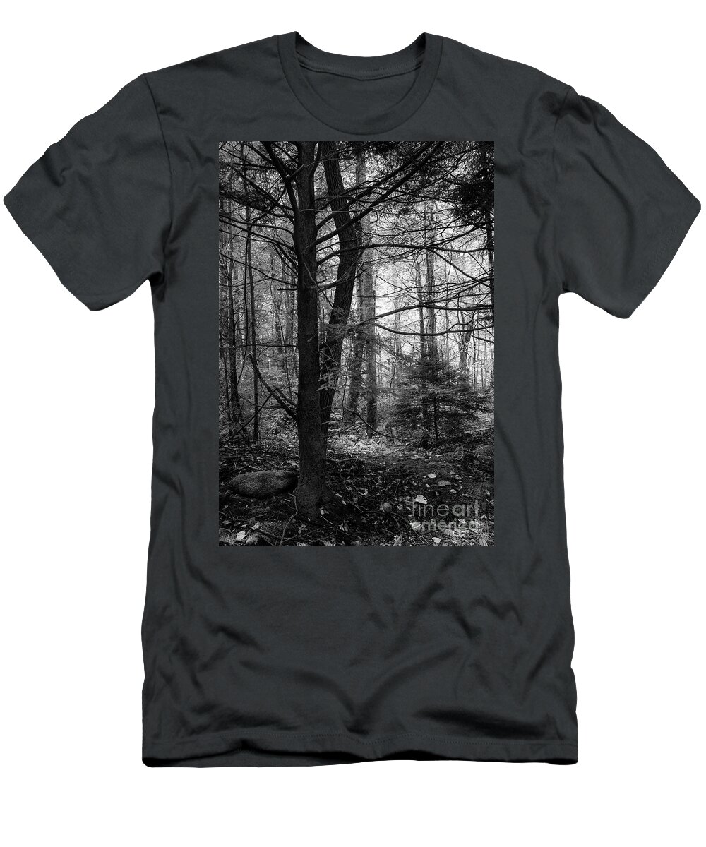 Forest T-Shirt featuring the photograph Woodland Scene by Mike Eingle