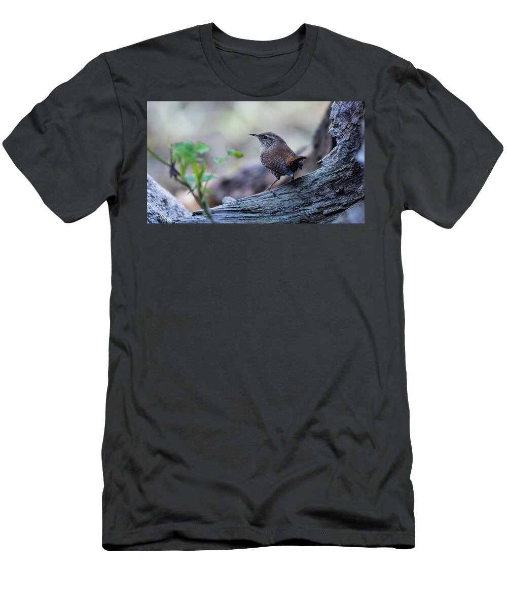 Wren T-Shirt featuring the photograph Wren by Torbjorn Swenelius