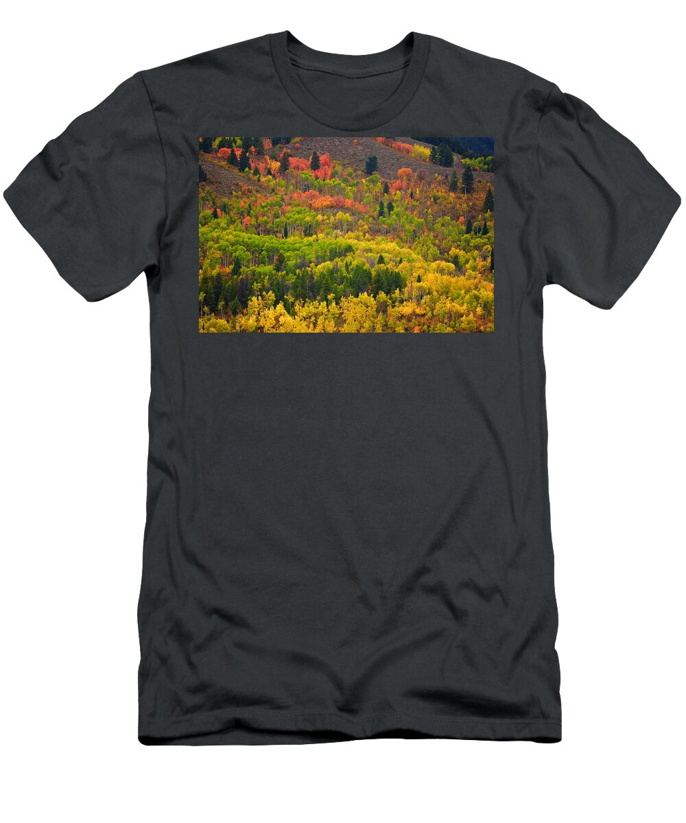 Wyoming T-Shirt featuring the photograph Wyoming Fall Colors 1 by Ed Broberg