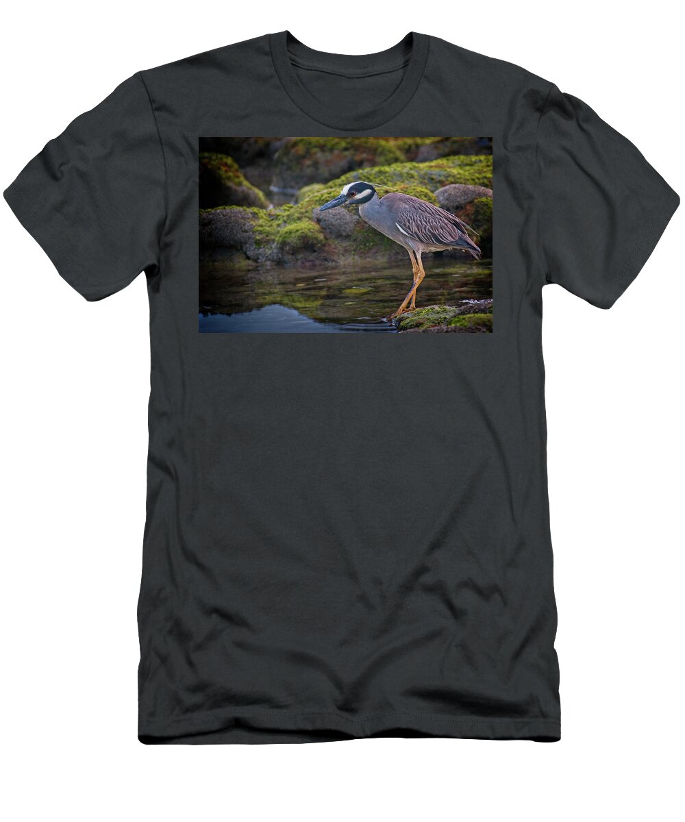 Coral Cove T-Shirt featuring the photograph Yellow-crowned Night Heron by Steve DaPonte