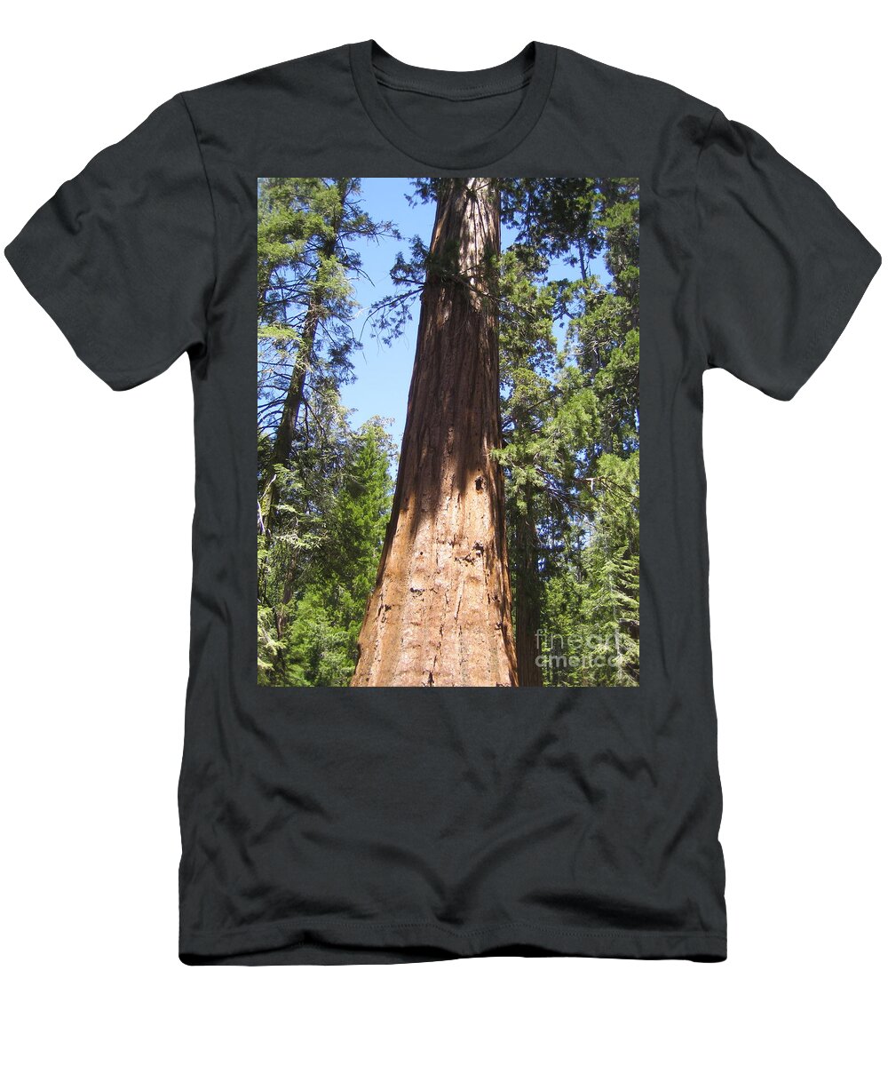 Yosemite T-Shirt featuring the photograph Yosemite National Park Mariposa Grove Giant Ancient Tree by John Shiron