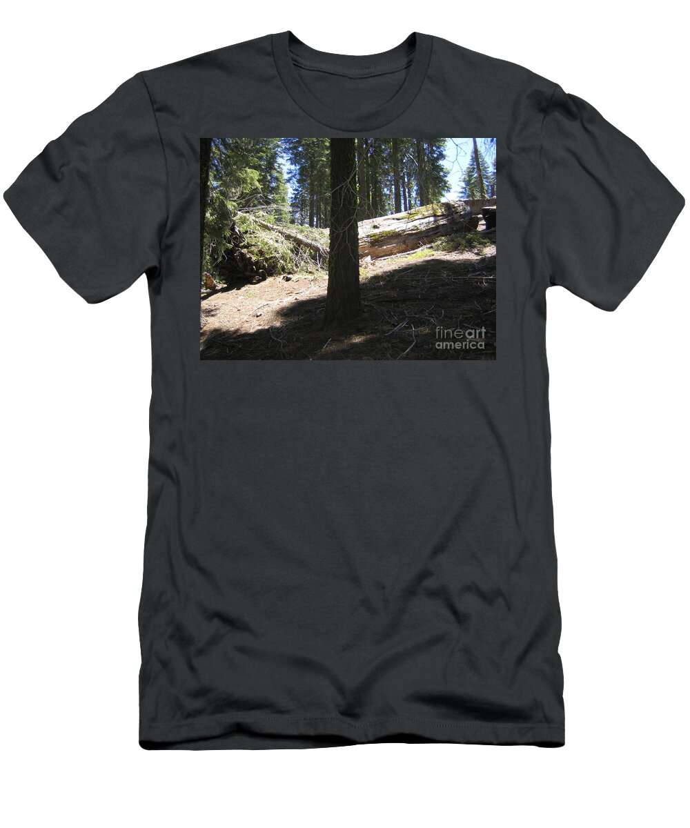Yosemite T-Shirt featuring the photograph Yosemite National Park Mariposa Tall Trees Burnt Trees by John Shiron