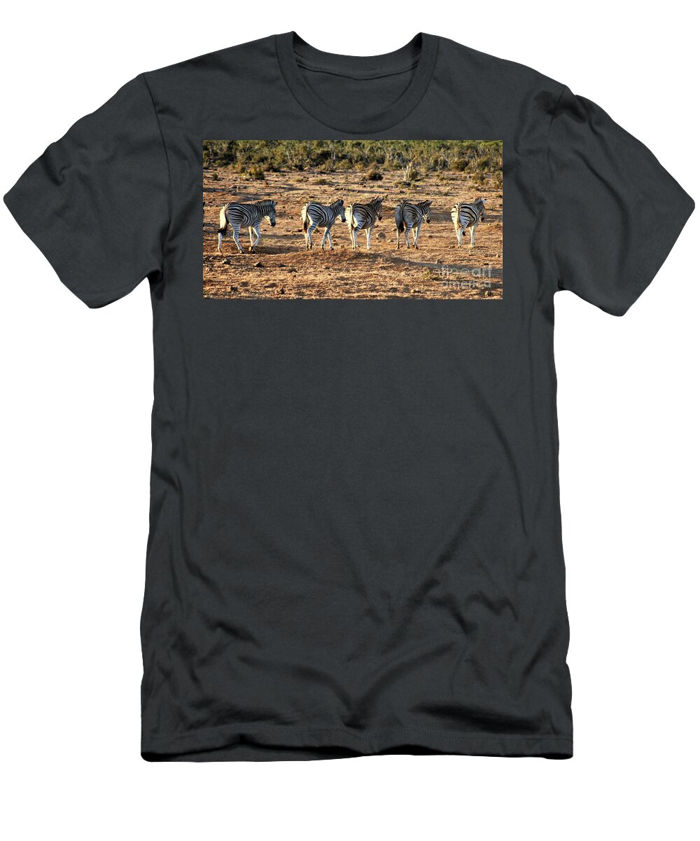 Zebra T-Shirt featuring the photograph Zebras by FD Graham