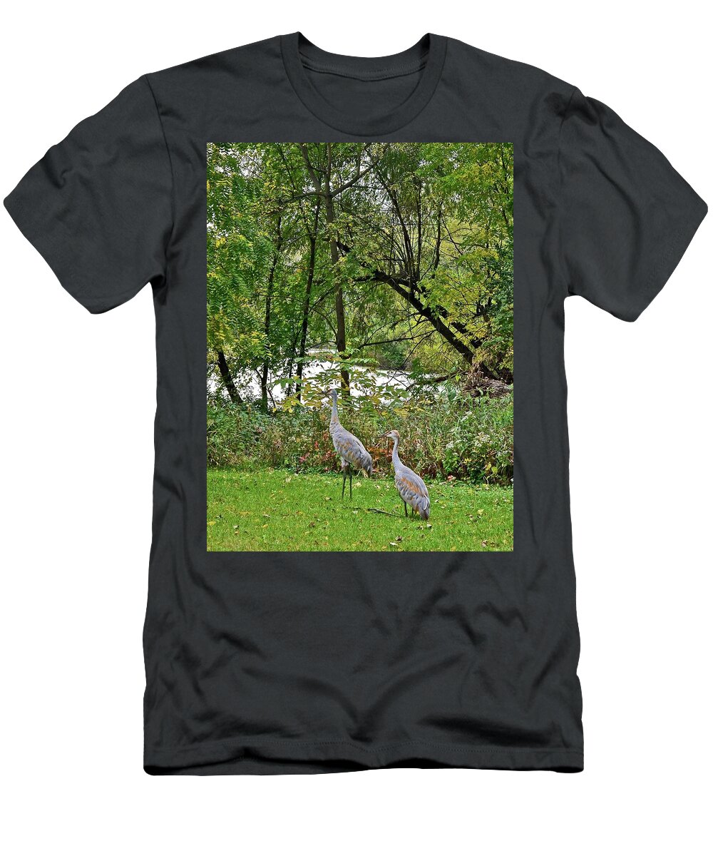 Sandhill Crane; Backyard; Birds; T-Shirt featuring the photograph 2021 Fall Sandhill Cranes 8 by Janis Senungetuk
