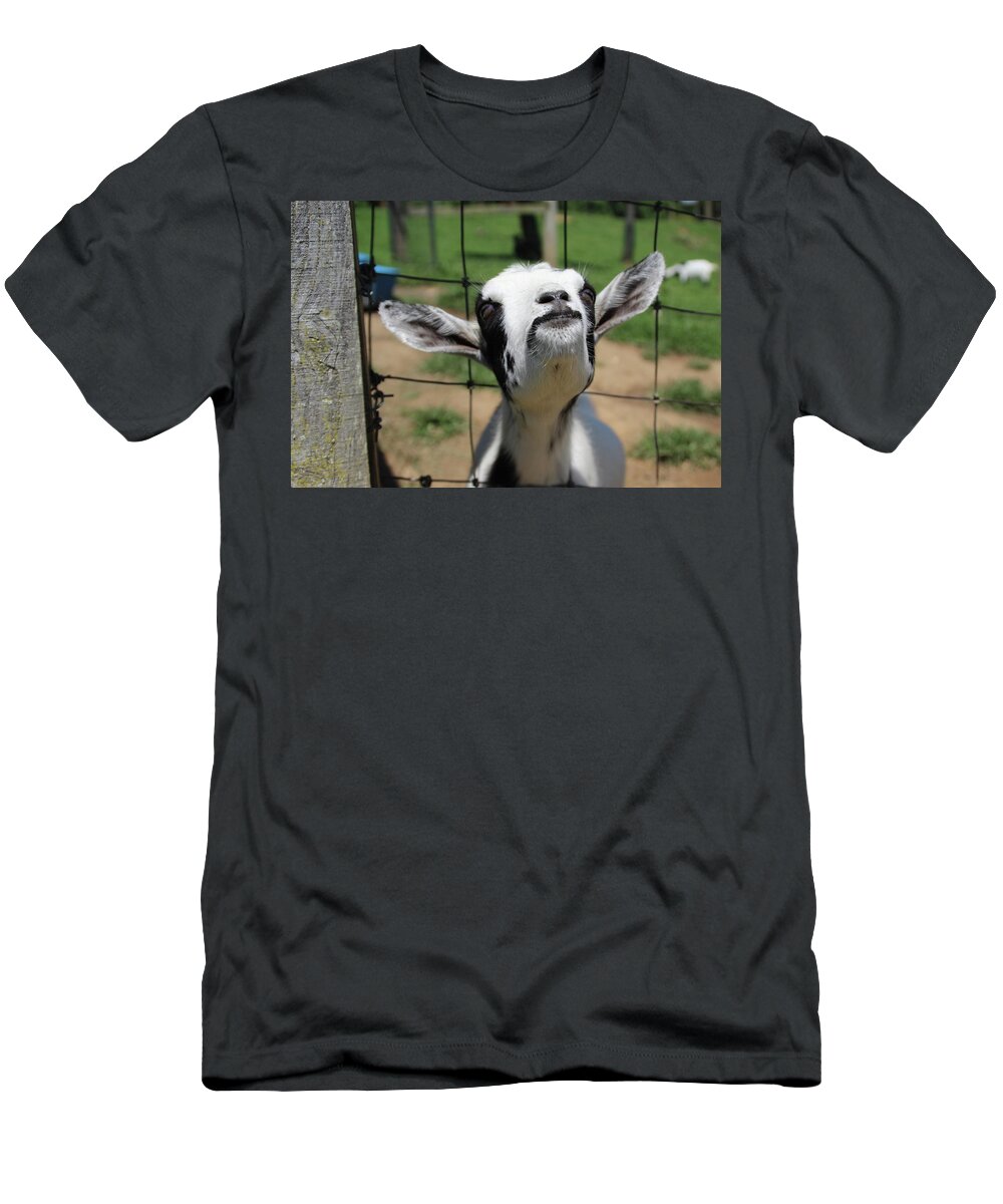 Goat T-Shirt featuring the photograph A Goat's Smile by Demetrai Johnson