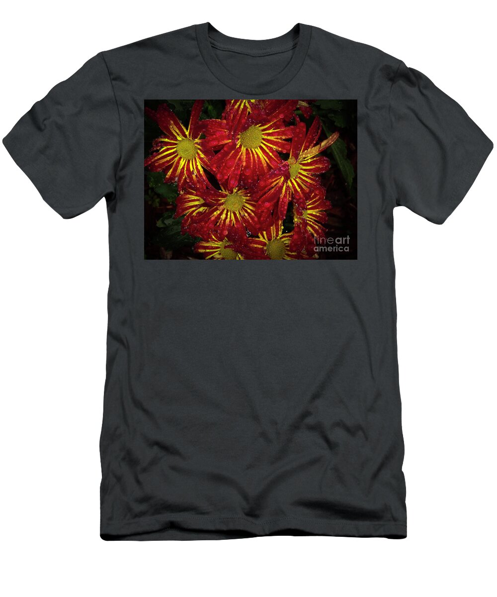 Rain T-Shirt featuring the photograph After the Rain #1 by Judy Hall-Folde