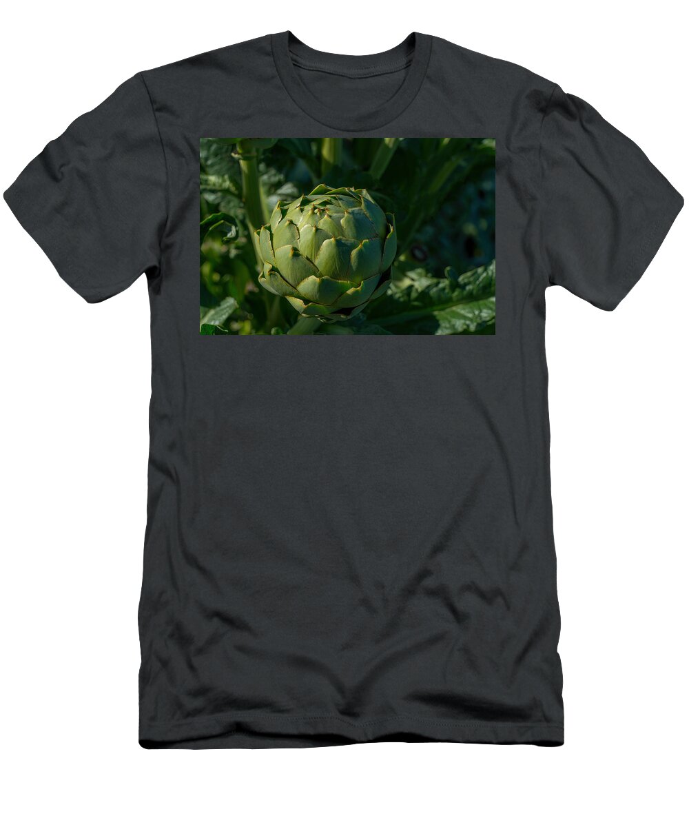 Artichoke T-Shirt featuring the photograph Artichoke by Derek Dean