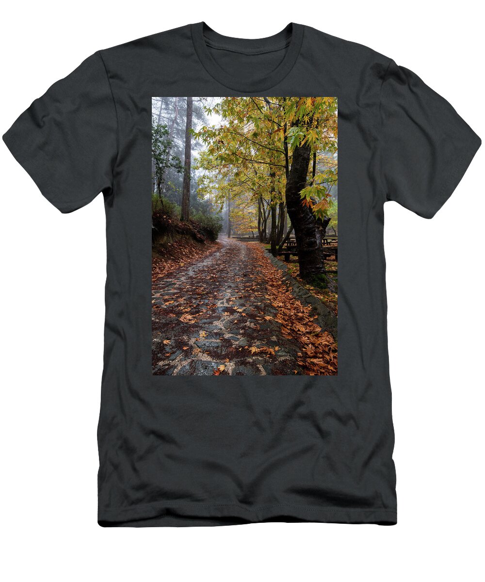 Autumn T-Shirt featuring the photograph Autumn landscape with trees and Autumn leaves on the ground after rain by Michalakis Ppalis