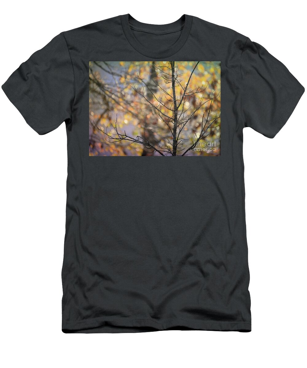 Autumn Light T-Shirt featuring the photograph Autumn Light #2 by Kerri Farley