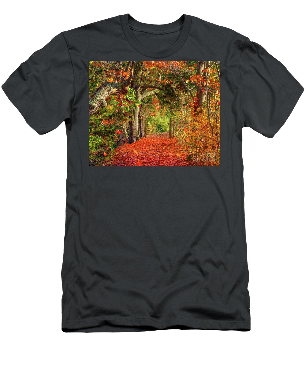 Autumn T-Shirt featuring the photograph Autumn Path #1 by Sean Mills