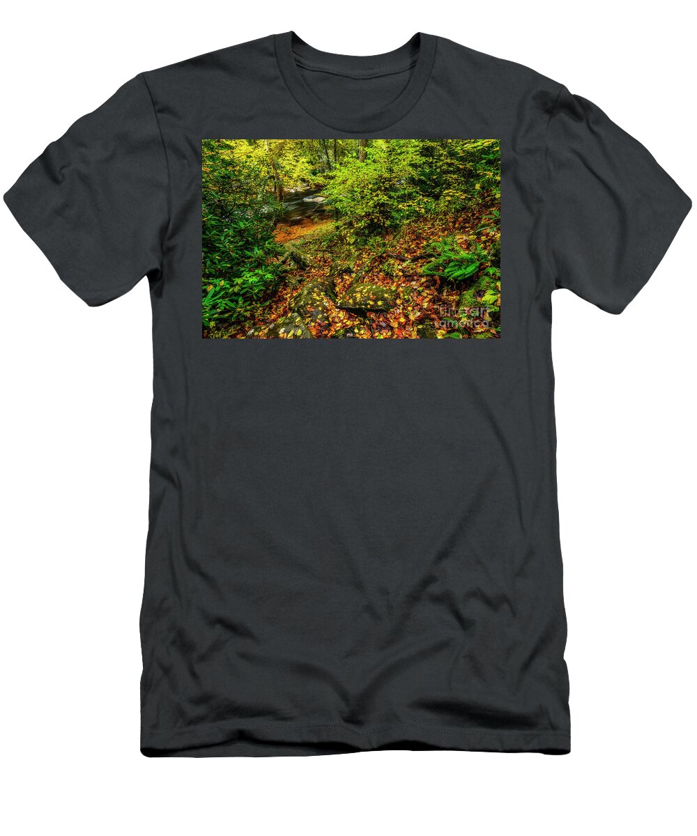 Cranberry River T-Shirt featuring the photograph Autumn Rain Cranberry River #1 by Thomas R Fletcher