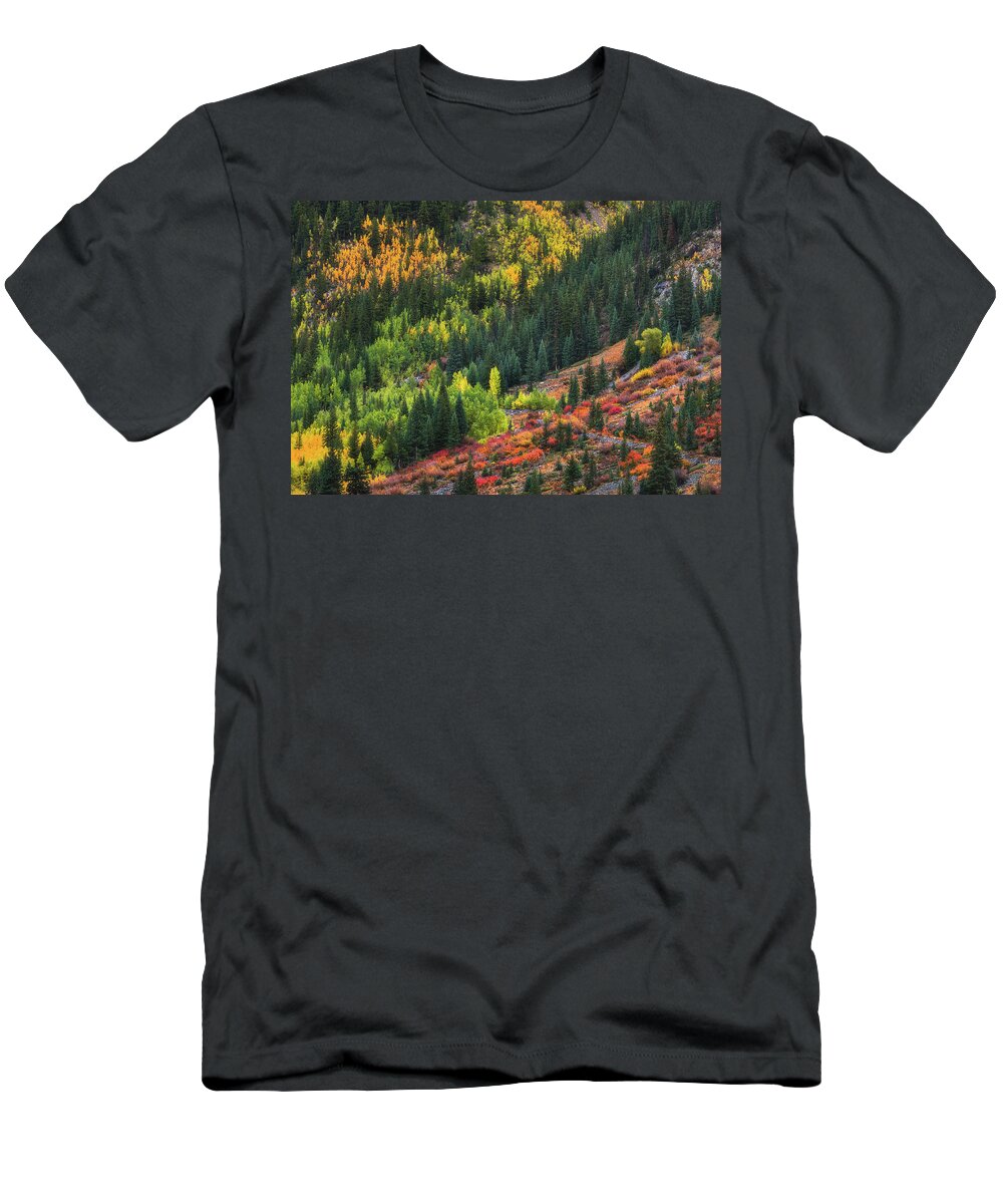 Fall T-Shirt featuring the photograph Autumn's Color Palette #1 by Darren White