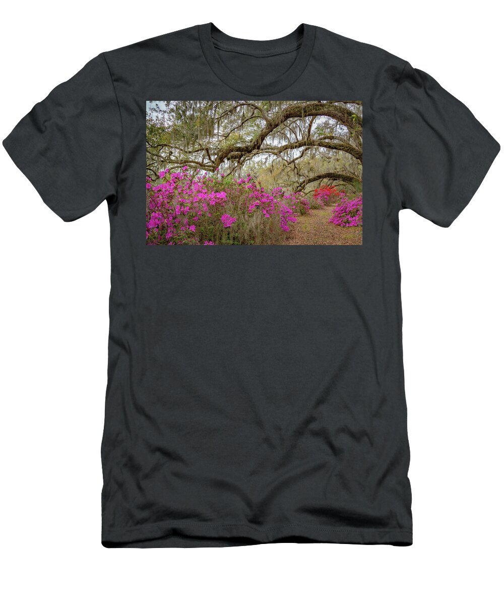 Flowers T-Shirt featuring the photograph Avenue of Oaks in Spring #1 by Cindy Robinson