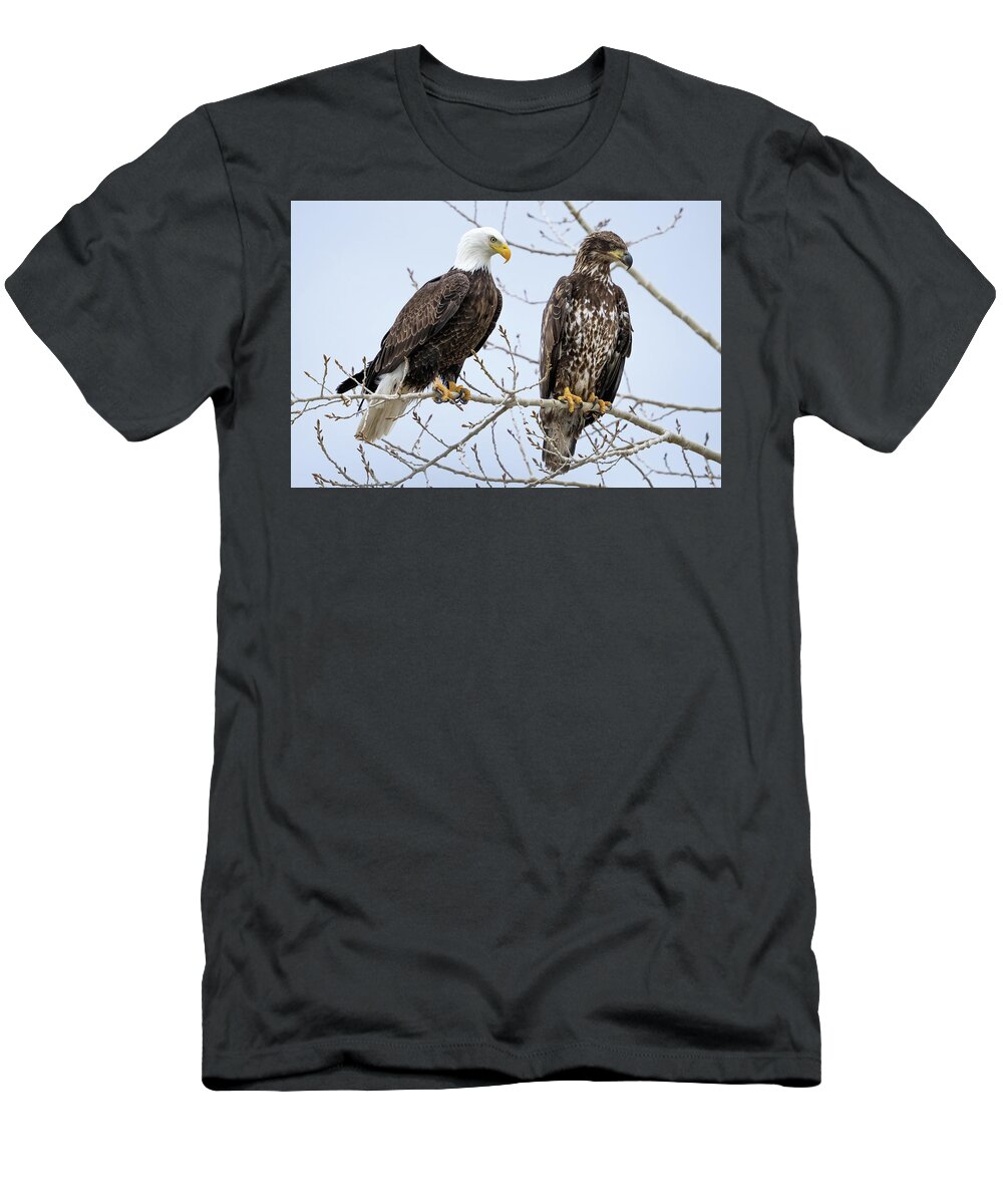 Blad Eagles T-Shirt featuring the photograph Bald Eagles by Wesley Aston