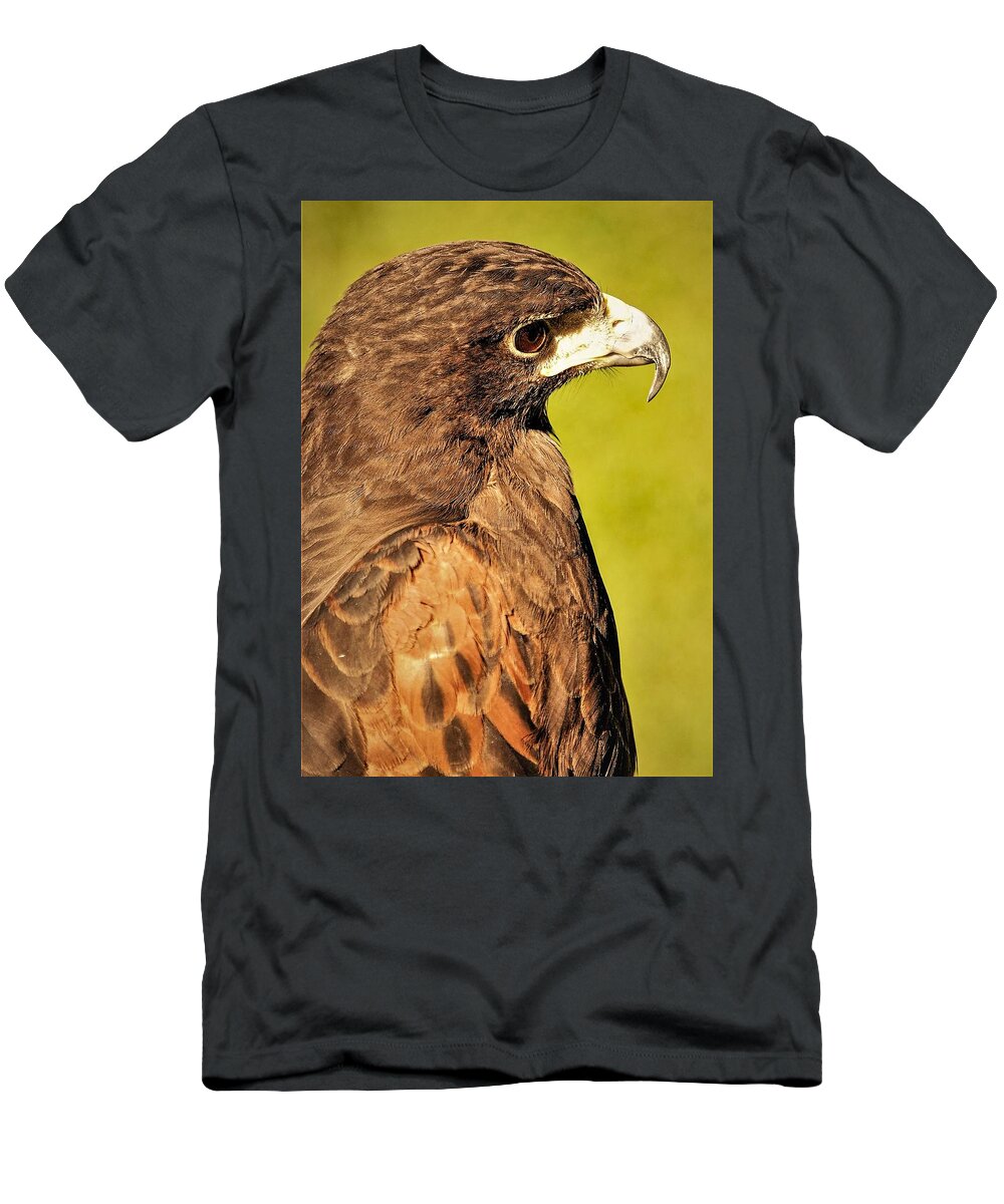 Bird Of Pray Feathers Eye T-Shirt featuring the photograph Bird2 by John Linnemeyer
