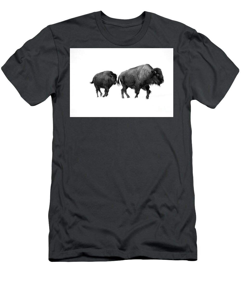 #yellowstone #bison #winter #snow #bw #blackandwhite #calf #female #red Dog #running T-Shirt featuring the photograph Bison in the Snow #1 by Patrick Nowotny