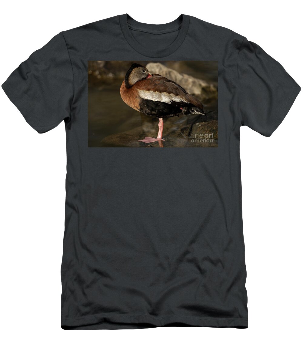 Fowl T-Shirt featuring the photograph Black-bellied Whistling-Duck #1 by JT Lewis
