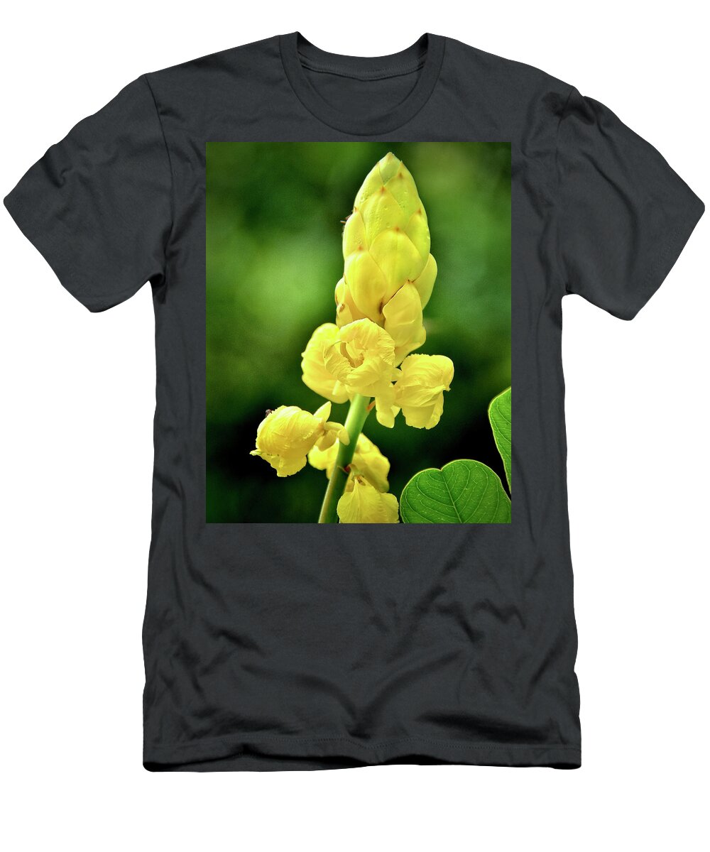 Candlestick Cassia T-Shirt featuring the photograph Candlestick Cassia #1 by Carol Bradley