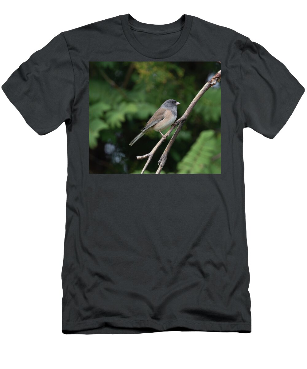 Junco T-Shirt featuring the photograph Dark-Eyed Junco #1 by Dart Humeston