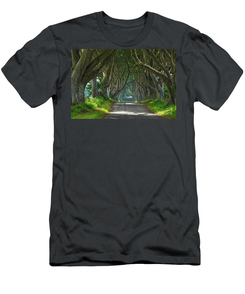 Dark Hedges T-Shirt featuring the photograph Dark Hedges, County Antrim, Northern Ireland by Neale And Judith Clark